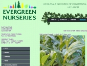 Створення сайту Evergreen Nurseries